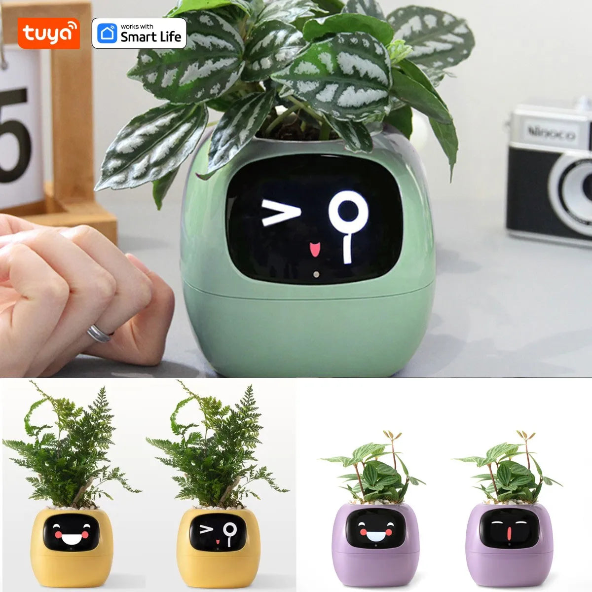 Smart Planter Tuya Ivy Endless Fun Over 49 Rich Expressions,7 smart sensors,AI Chips Make Raising Plants Easy and Fun