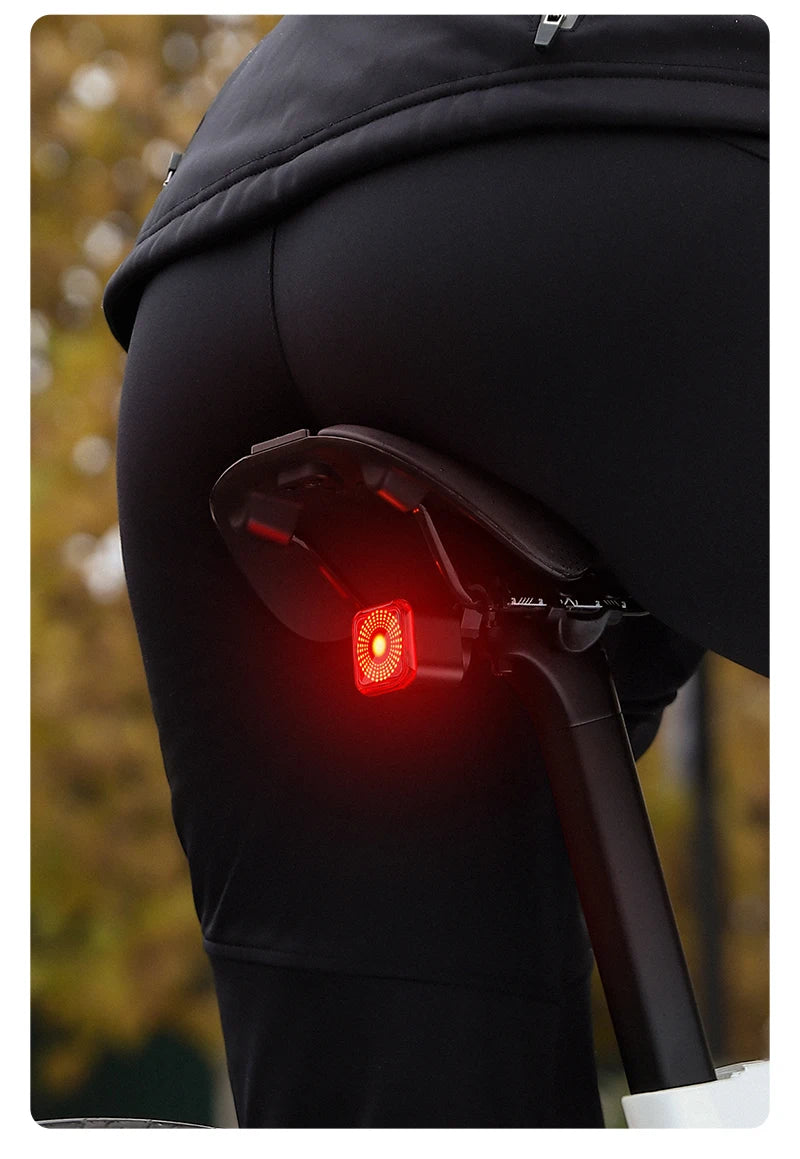 WEST BIKING Bicycle Rear Light Brake Sensing Digital Power Display Auto Start/Stop Long Endurance Taillight Cycling Accessories