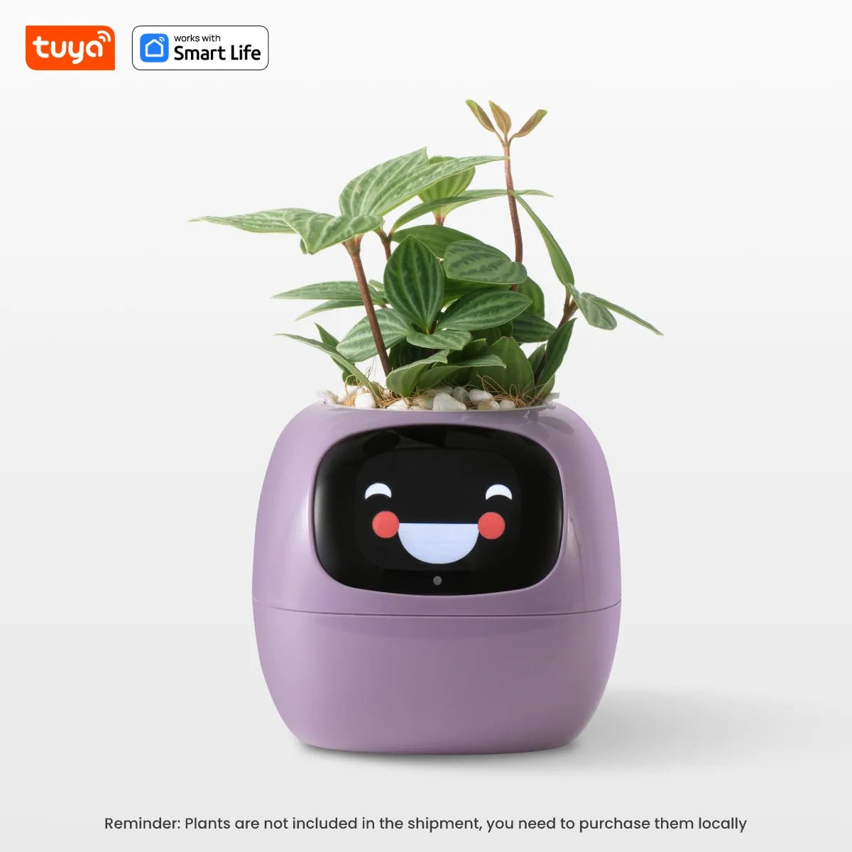 Smart Planter Tuya Ivy Endless Fun Over 49 Rich Expressions,7 smart sensors,AI Chips Make Raising Plants Easy and Fun